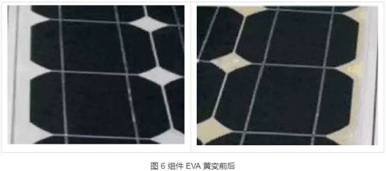 天天鲁一鲁摸一摸爽一爽