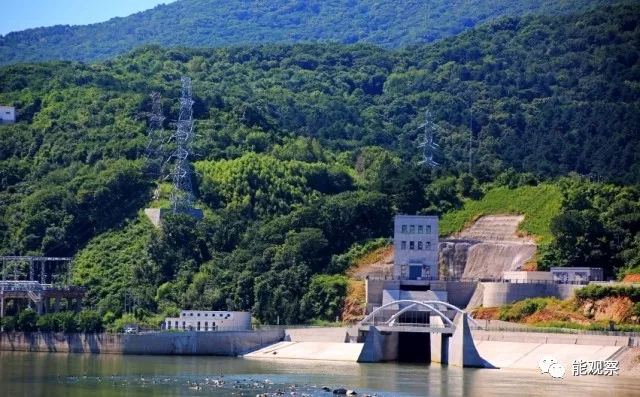 天天鲁一鲁摸一摸爽一爽