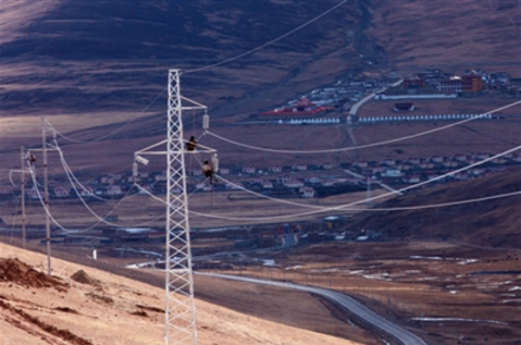 天天鲁一鲁摸一摸爽一爽