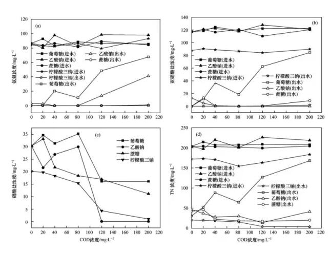 天天鲁一鲁摸一摸爽一爽