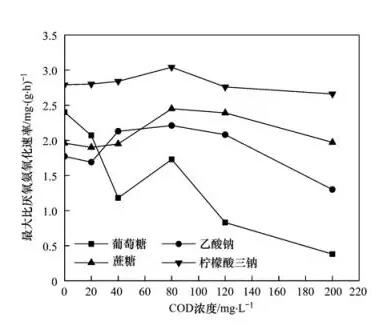 天天鲁一鲁摸一摸爽一爽