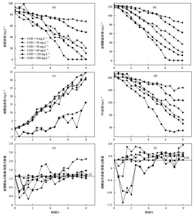 天天鲁一鲁摸一摸爽一爽
