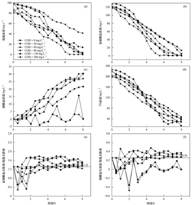 天天鲁一鲁摸一摸爽一爽