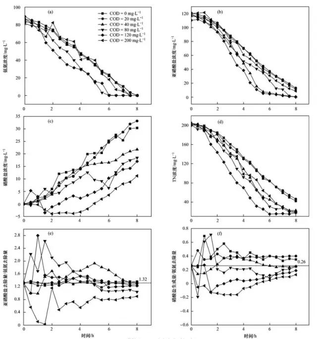 天天鲁一鲁摸一摸爽一爽