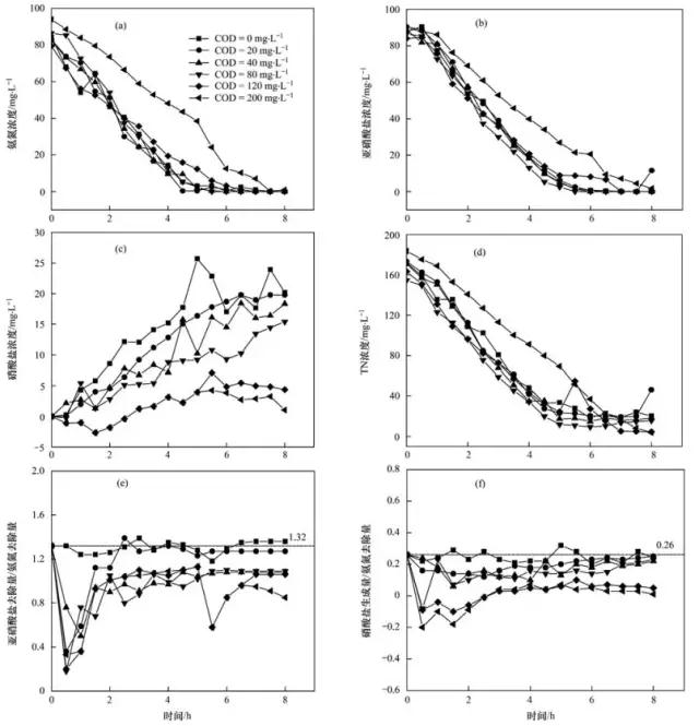 天天鲁一鲁摸一摸爽一爽