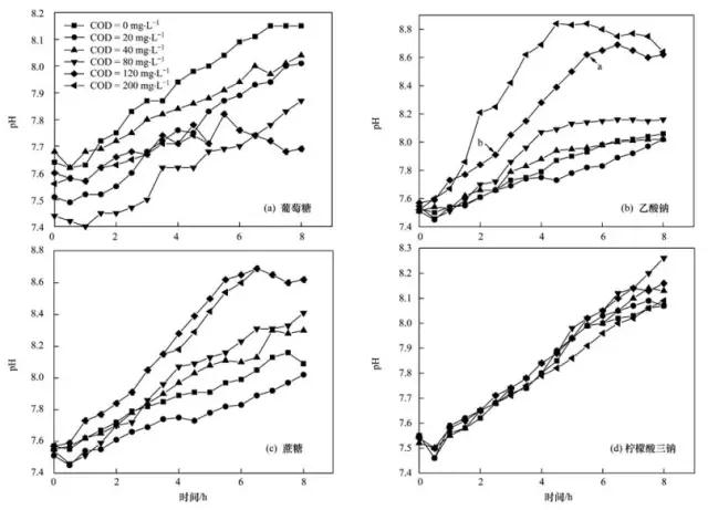 天天鲁一鲁摸一摸爽一爽