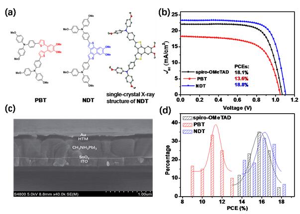 天天鲁一鲁摸一摸爽一爽