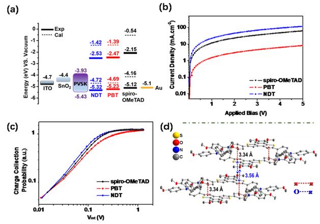 天天鲁一鲁摸一摸爽一爽