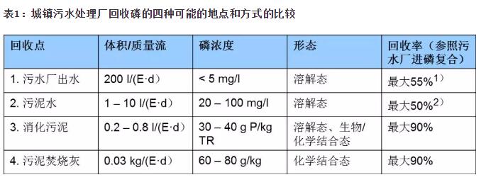 天天鲁一鲁摸一摸爽一爽