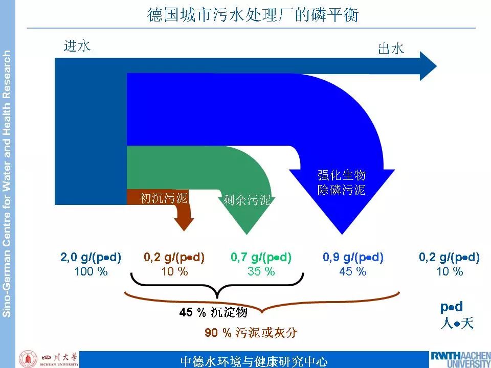 天天鲁一鲁摸一摸爽一爽