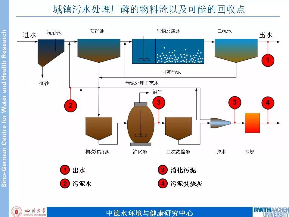 天天鲁一鲁摸一摸爽一爽