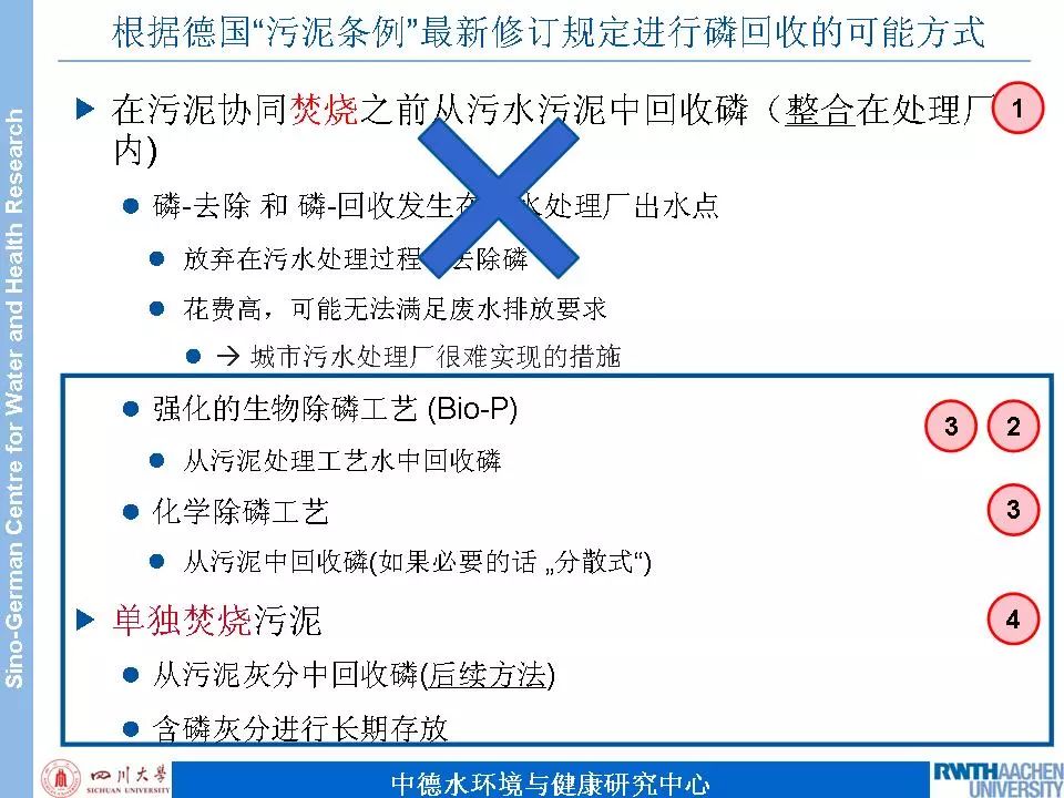 天天鲁一鲁摸一摸爽一爽