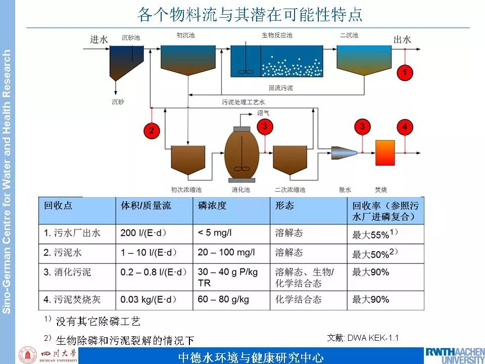 天天鲁一鲁摸一摸爽一爽