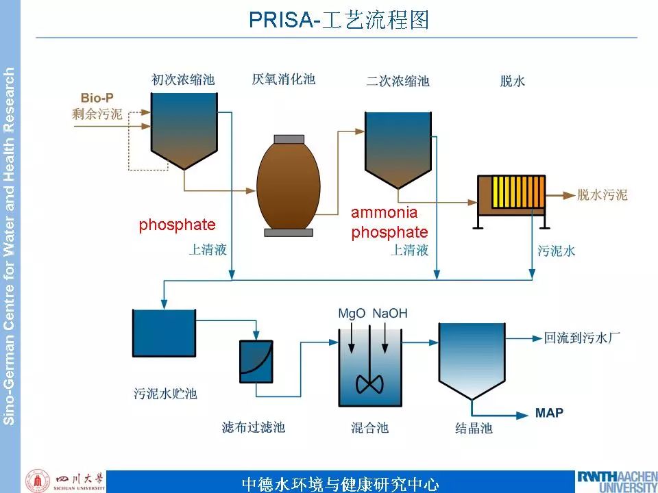 天天鲁一鲁摸一摸爽一爽