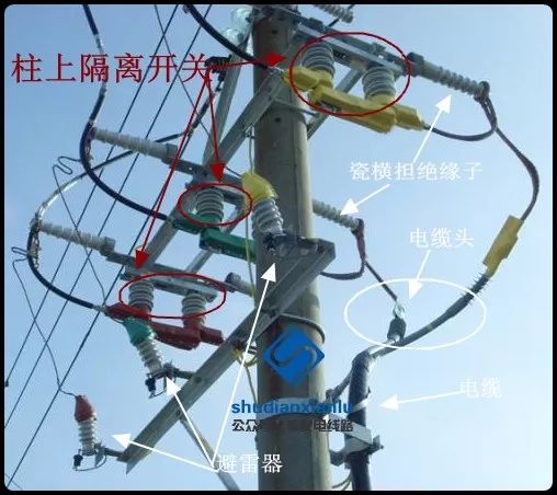 天天鲁一鲁摸一摸爽一爽