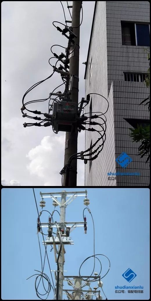 天天鲁一鲁摸一摸爽一爽