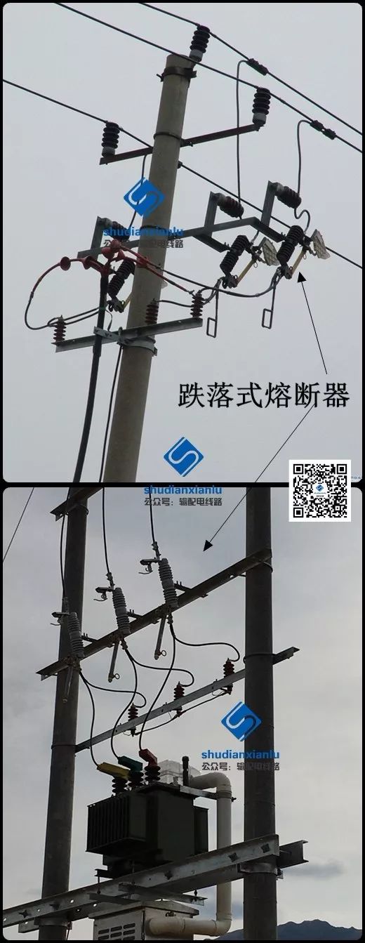 天天鲁一鲁摸一摸爽一爽