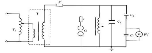天天鲁一鲁摸一摸爽一爽