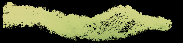 天天鲁一鲁摸一摸爽一爽