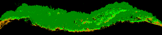 天天鲁一鲁摸一摸爽一爽
