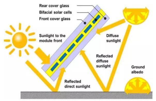 天天鲁一鲁摸一摸爽一爽