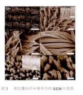 天天鲁一鲁摸一摸爽一爽