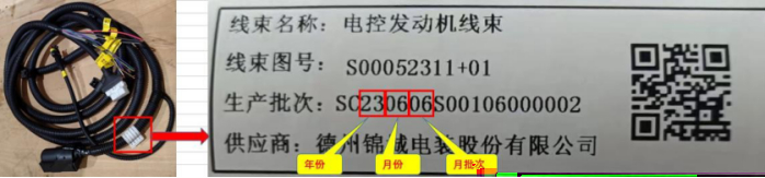 天天鲁一鲁摸一摸爽一爽